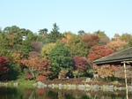 syouwakouen 003.jpg