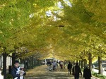 syouwakouen 045.jpg