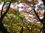 syouwakouen 068.jpg