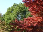 syouwakouen 070.jpg